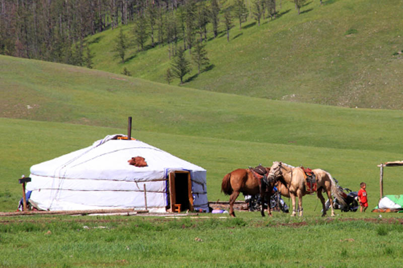 visit mongolia 